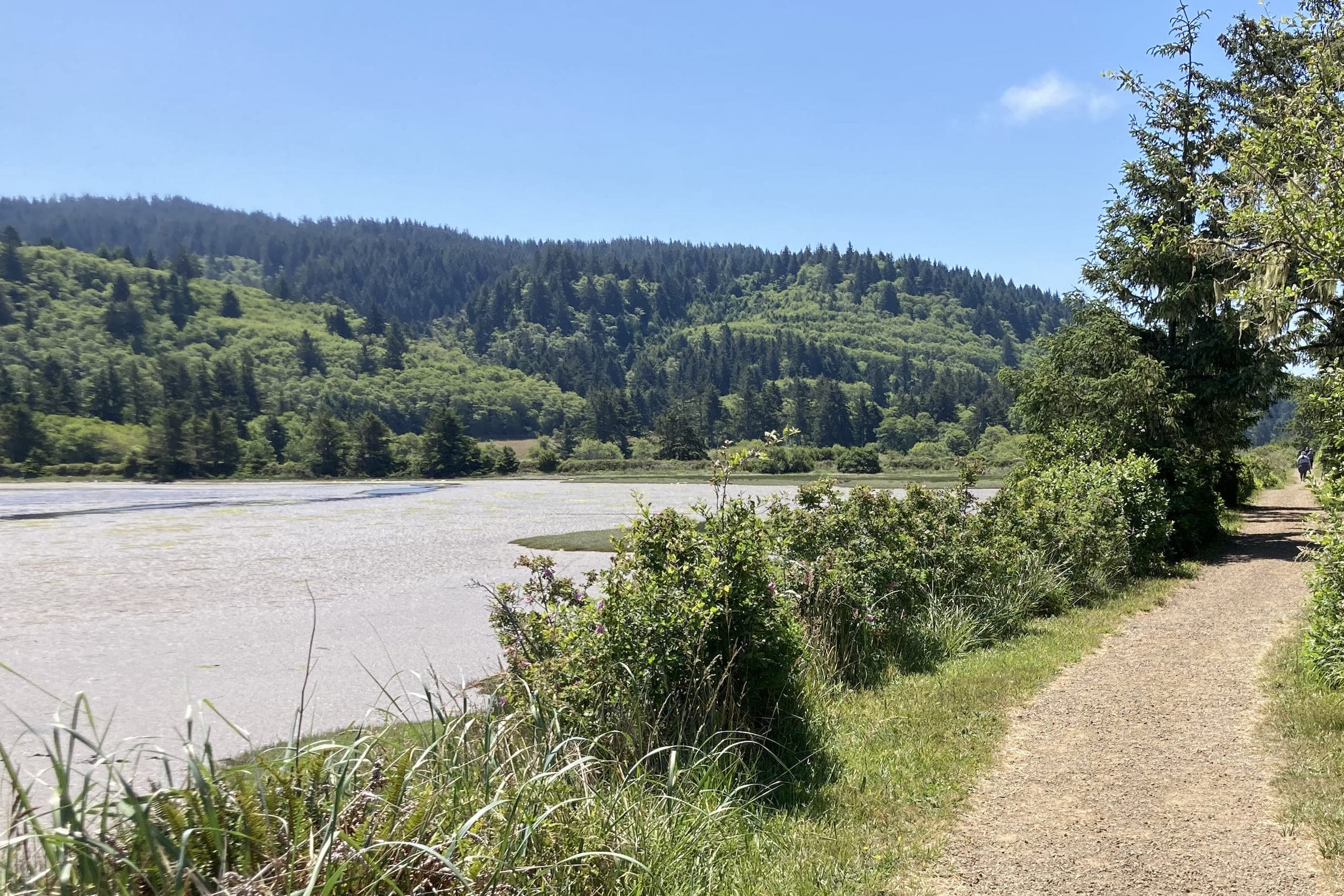 The Sitka Sedge State Natural Area Trail near Hart's Camp