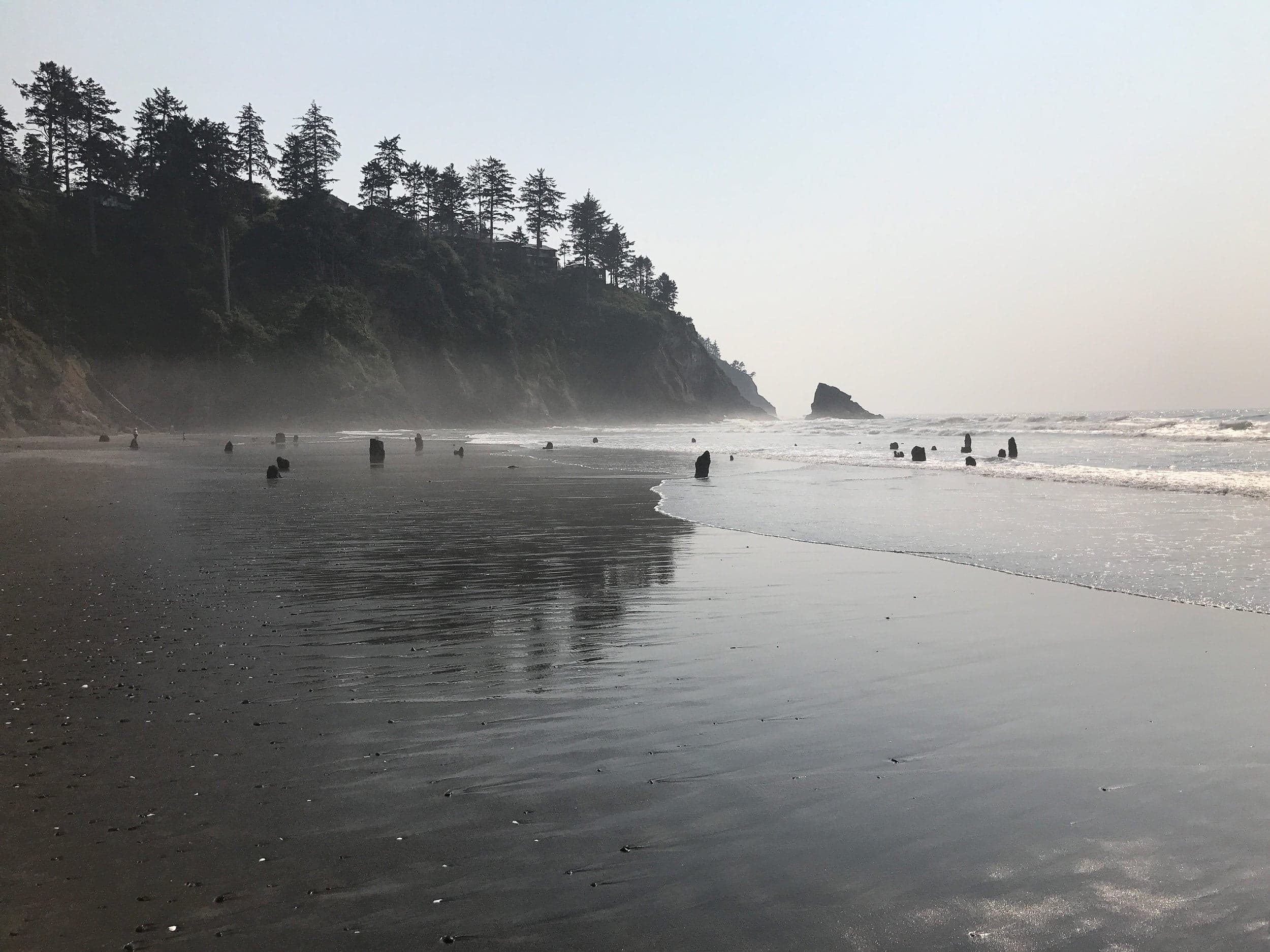 Image of the Oregon Beach